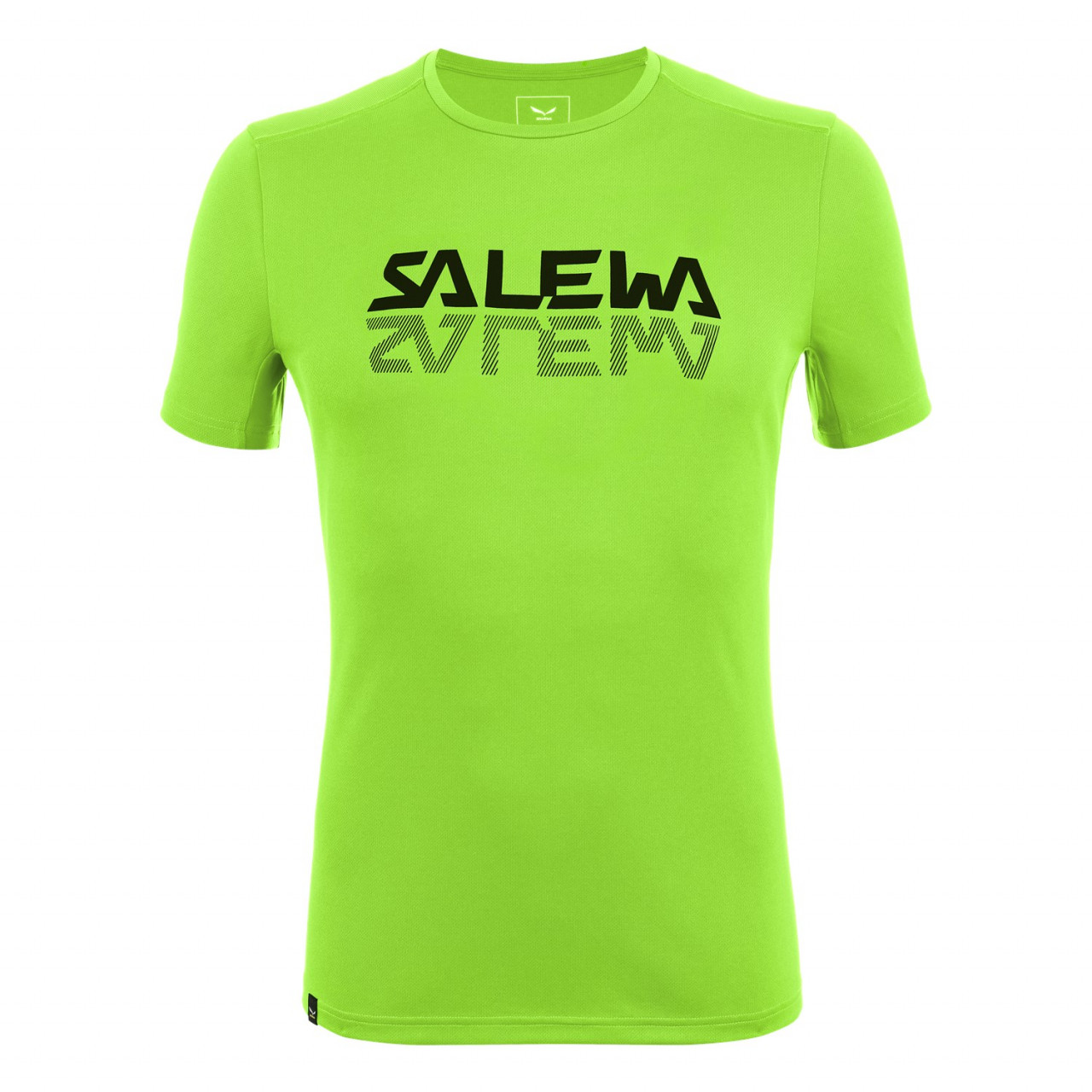 Salewa Men's Sporty Graphic Dry T-Shirts Green LDO-923748